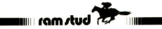ramstub